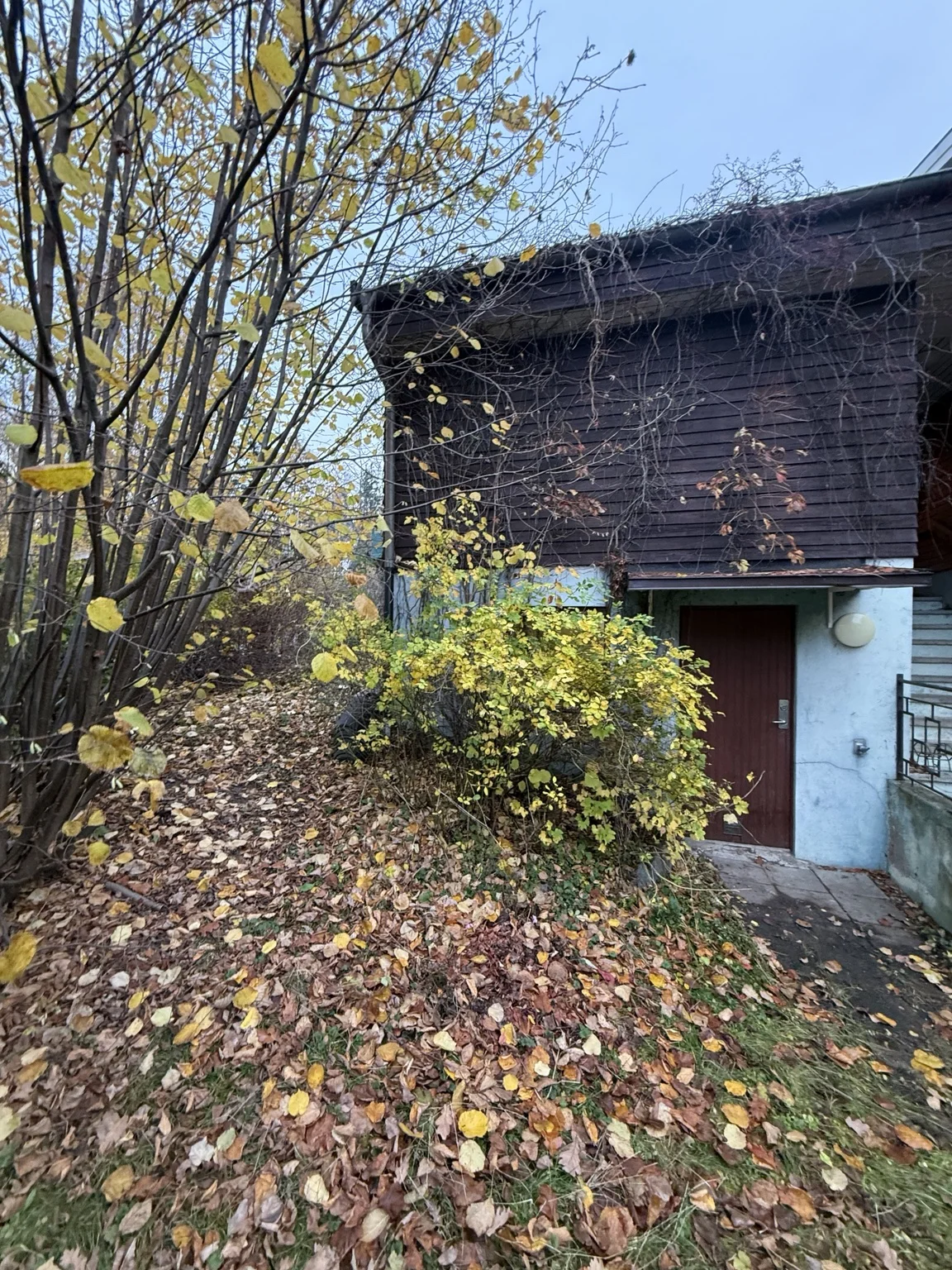 Källarentré och fasad med träpanel före renoveringen av Villa Bällsta